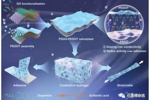 西南交通大學Xiong Lu課題組–氧化石墨烯導電模板與氧化還原活性納米片結合成水凝膠用于粘合劑生物電子學